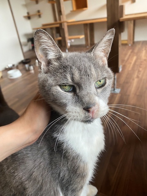 おじちゃん宣材縮小