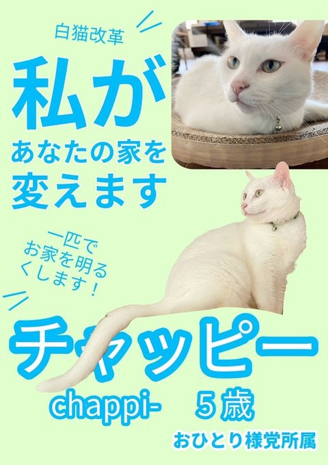 GTyPvgNbgAAaF3l