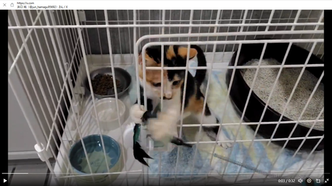 スクリーンショット 2024-10-19 012847