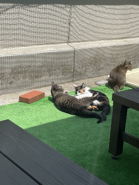 0B7F4954-1C2E-4716-8EEA-B2FD374BBB5E