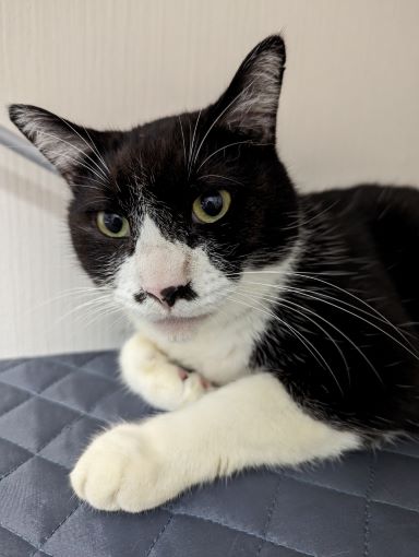 OBおじさん宣材縮小