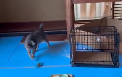 スクリーンショット 2025-07-11 233859