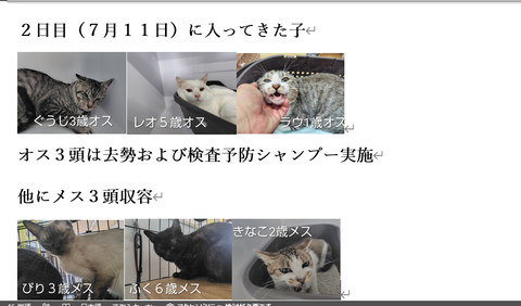 スクリーンショット 2026-07-31 165822