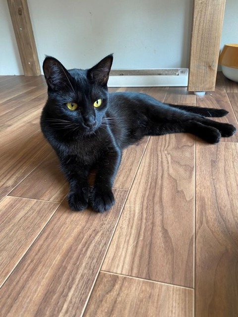 OBカカオ宣材縮小