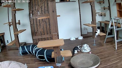 5542551239_1723438562472