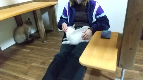 マライア譲渡２