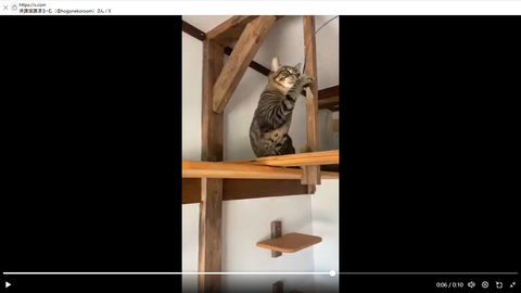 スクリーンショット 2025-06-15 151911