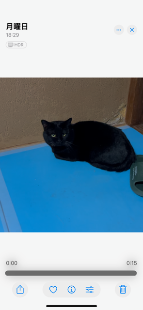 ちび生後７か月