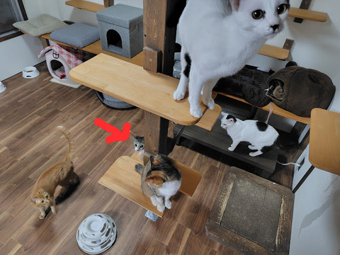 250224211348028-EDIT