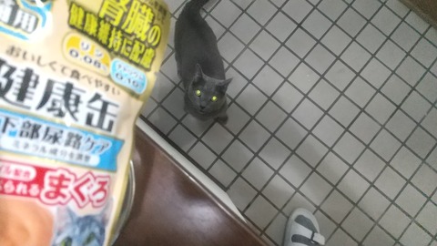 ケイスケ夜 (11)