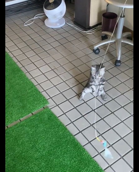 スクリーンショット 2024-06-09 023010