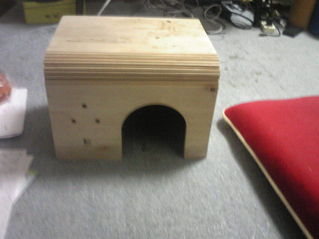 ウサギの出産２ 成功例 From移動アニマルクリニック浜口 仙台往診専門動物病院 移動アニマルクリニック浜口