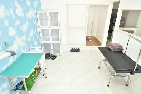 トリミング室３