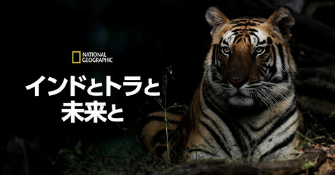 動物をもっと理解したい : インドとトラと未来と