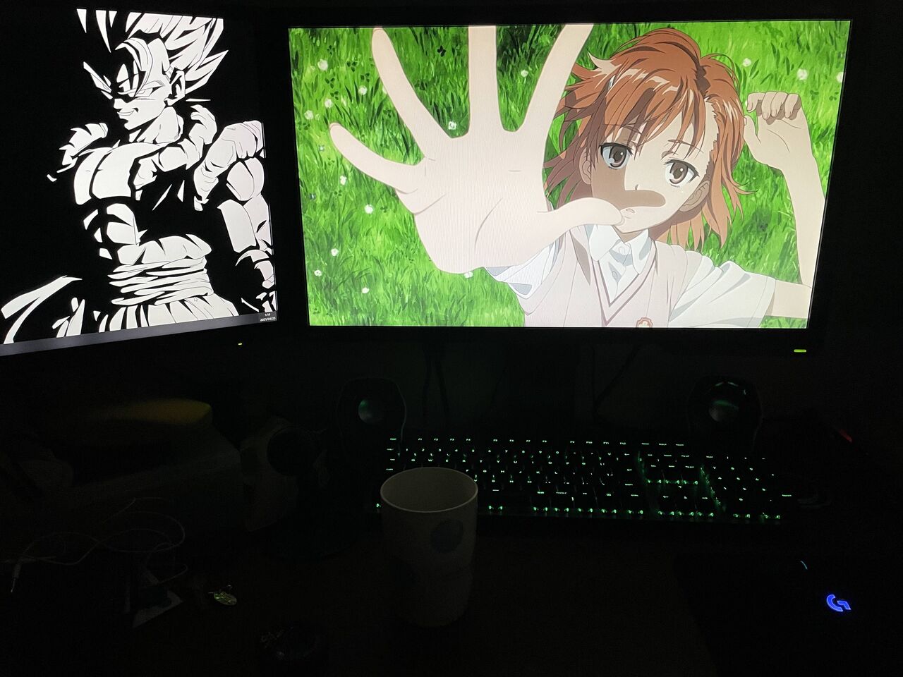 【悲報】ワイ25歳ヒキニート、アニメを見ているだけで人生が過ぎ去る…………