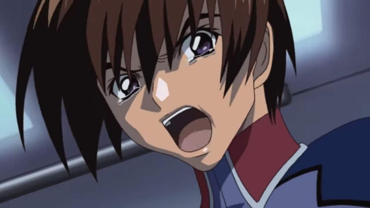 【ガンダムSEED】キラ「君たちが弱いから！！！一人でやるしかないじゃないか！！！」