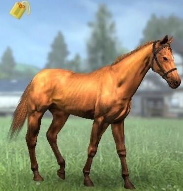 【競馬ゲーム】結構ハマってやり込むよね