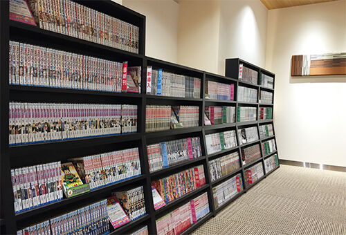 【悲報】もう漫画を置く場所がないんだがどうしたらいいんだ…