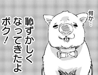 suku021349