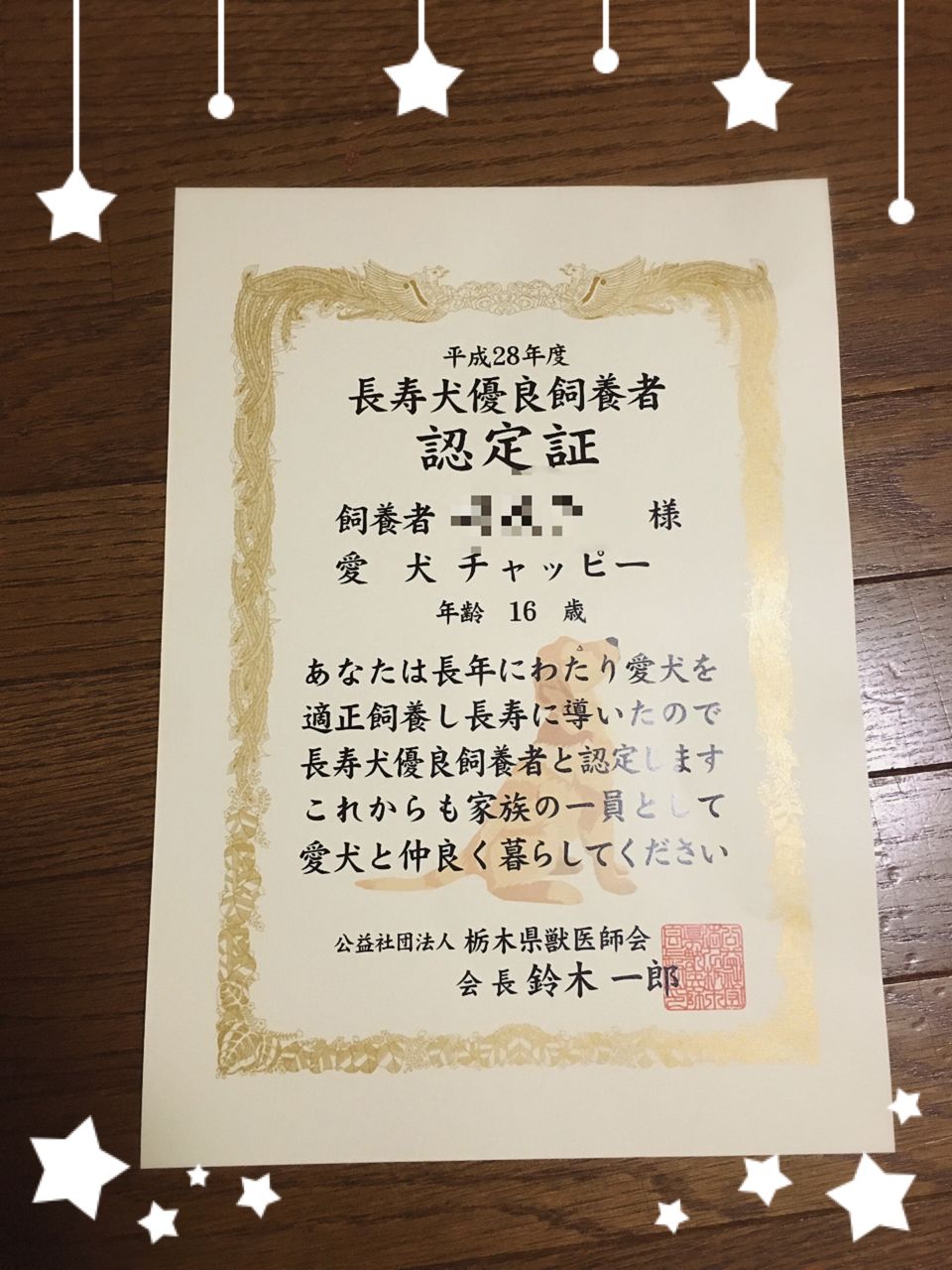 認定証 ペット美容室 ペットホテル アニマー湯 宇都宮店 トリマー日記