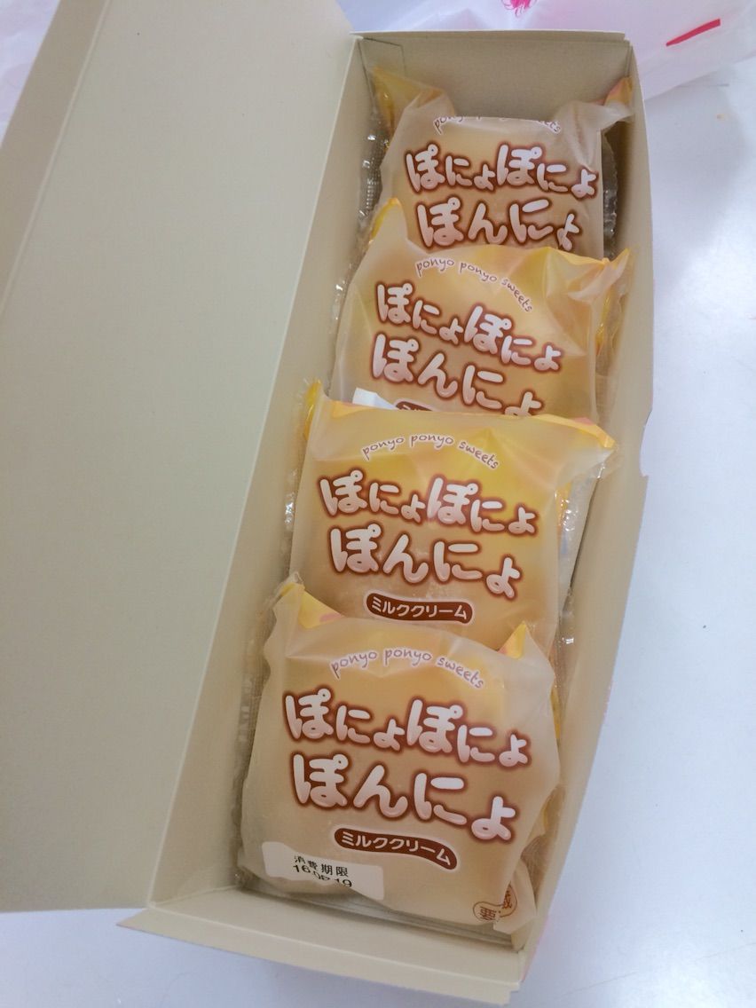 ぽにょぽにょぽんにょ ペット美容室 ペットホテル アニマー湯 宇都宮店 トリマー日記