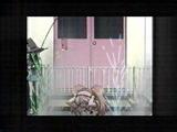 涼宮ハルヒの憂鬱-1*---18