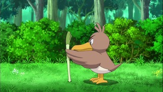 xy49 (121)