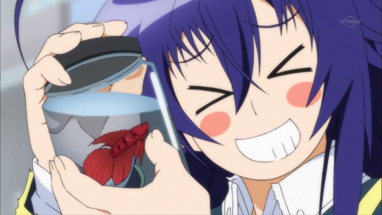 アニメ万国情報館 めだかボックスアブノーマル 第7箱 黒神くじらという素敵な名前 感想 アニメ万国情報館 めだかボックスアブノーマル 第7箱 黒神くじらという素敵な名前 感想