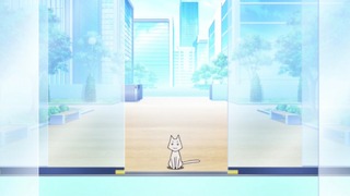 cap (55)