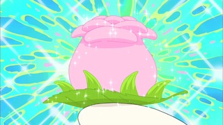 tama (14)