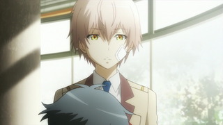cap (37)