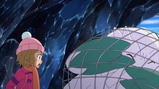 xy (135)