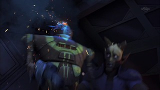 sw (51)