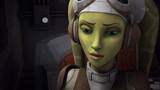 sw (10)