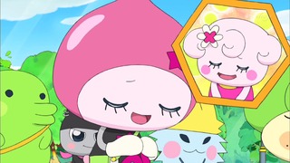 tama (54)