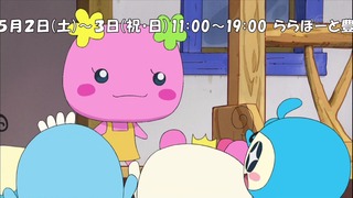 tama (41)