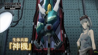 cap (40)