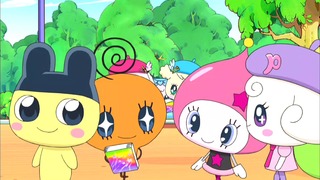 tama (30)