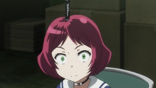 cap (13)