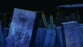 rin-263