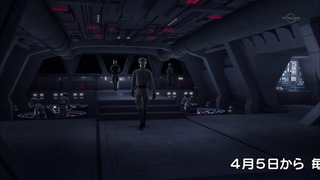 sw (36)