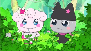 tama (48)