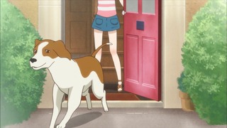 cap (6)