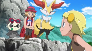 xy (141)