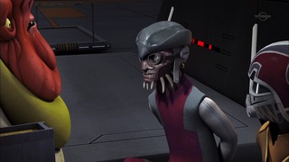 sw (35)