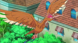 xy (74)