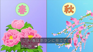 sazae-146