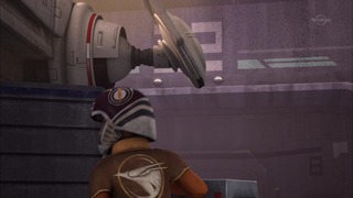sw (7)