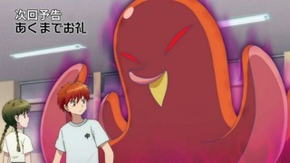 rin-381