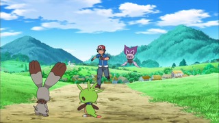 xy (108)